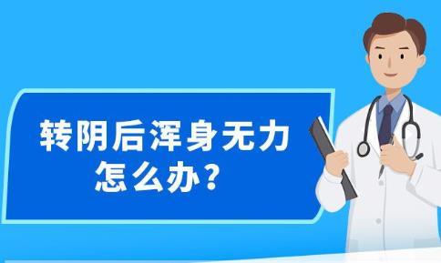 新澳精准资料免费大全,综合研究|精选资料解析大全,新澳精准资料免费大全与综合研究精选资料解析大全